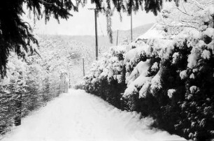 Freiburg, Günterstal: Günterstal im Schnee, Rehhagweg nach oben