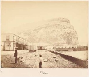 Arica