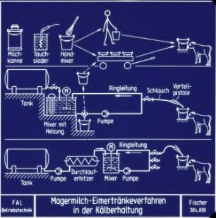 Magermilch-Eimertränkeverfahren in der Kälberhaltung