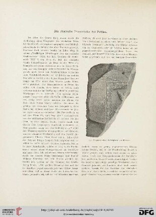 17.1914: Die römische Draubrücke bei Pettau