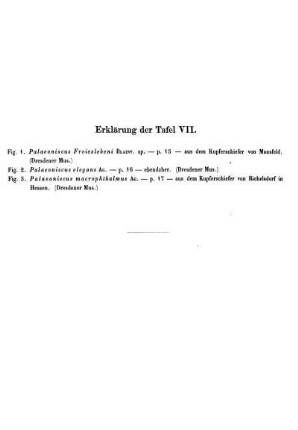 Erklärung der Taf. VII.