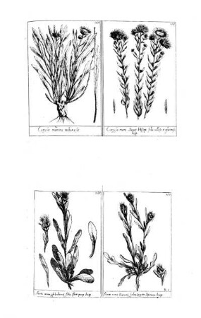 157-160
