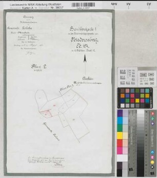 Salwey (Eslohe), Zusammenlegung Niedersalwey, Brouillonkarte 1 Bl. 12 Eslohe Flur 2