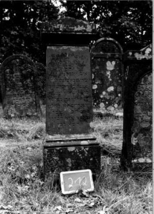 Grabstein 212 [Nir S. 148 Nr. 14.24]