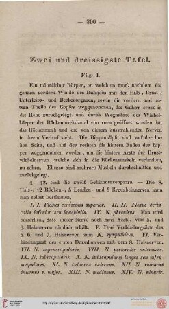 Zwei und dreissigste Tafel