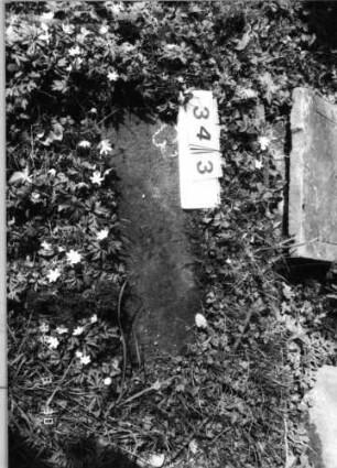 Grabstein 343 (Index: 99791951) Zustand: Fragment Besonderheit: kein Formblatt vorhanden: Grabstein 343