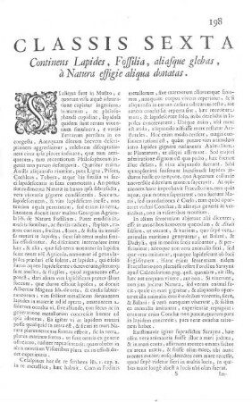 Classis Sexta continens Lapides, Fossilia, aliasque glebas, à Natura effigie aliqua donatas