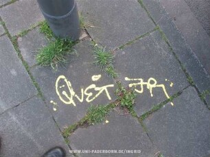 QVET FR