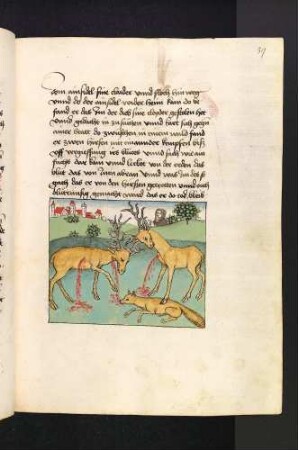 Der Einsiedler beobachtet die kämpfenden Hirsche mit dem totgetretenen Fuchs; (Kapitel II: Von dem Löwen und dem Ochsen).