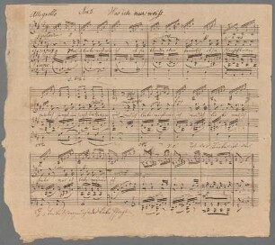 2 Lieder, V, pf, V, guit - BSB Mus.Schott.Ha 4078-2 : [without collection title]