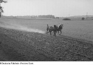 Bauer mit Pferdegespann beim Pflügen eines Feldes