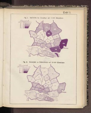 Tafel 3. Fig. 2. Sterbefälle an Schwindsucht auf 10000 Einwohner.