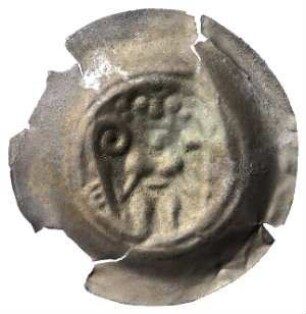 Fundmünze, Brakteat, 1242 - 1280?