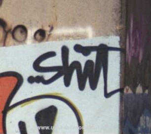 ..ShiT