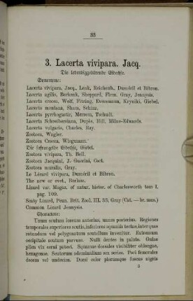 3. Lacerta vivipara. Jacq. Die lebendiggebärende Eidechse