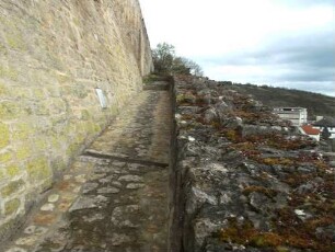 Stadtbefestigung-Ansicht im Osten-Zwingeraufgang am Schloßberg mit bergseitiger Futtermauer sowie talseitiger Basis der Zwingermauer (Wehrgang im 19 Jh abgetragen)