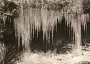 Sächsische Schweiz. Waserfallartige Eisbildungen durch austretendes Sickerwasser an Schichtfugen des Sandsteins