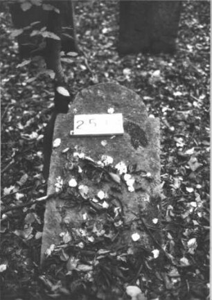 Grabstein 2533