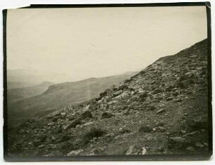Tal v. dana IV