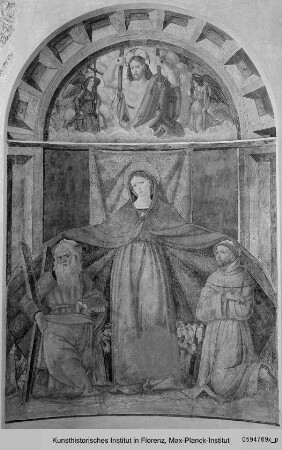 Schutzmantelmadonna mit den Heiligen Andras und Franz