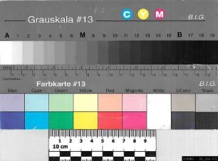 Schulvorstand der kaufmännischen Berufs- und Fachschule.