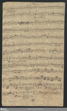 Violin[o]. 2.