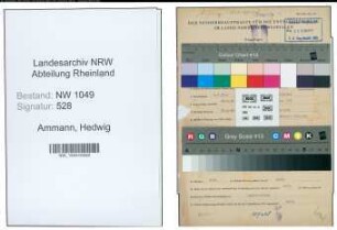 Entnazifizierung Hedwig Ammann , geb. 05.04.1901 ()