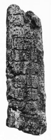 La Honradez, Stela 1 (HRZ: St. 1)