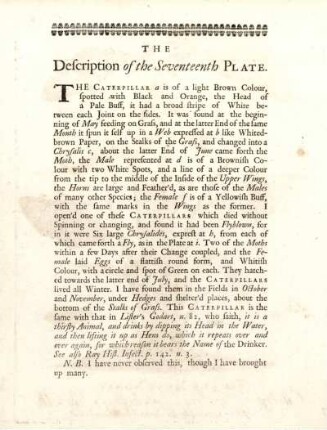The Description of the Seventeenth Plate