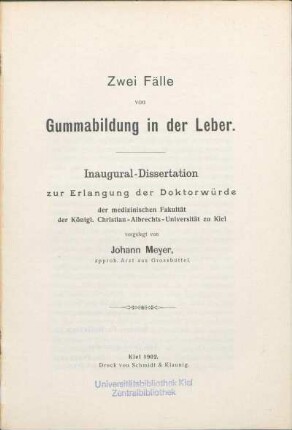 Zwei Fälle von Gummabildung in der Leber
