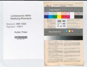 Entnazifizierung Peter Van Aubel, geb. 05.06.1894 (Treuhaender)
