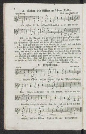 4. Sehet die Lilien auf dem Felde.
