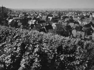 Archivfotografie "bergstrasse_laudenbach_p365"