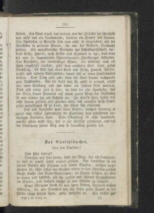 Das Gänseblümchen.