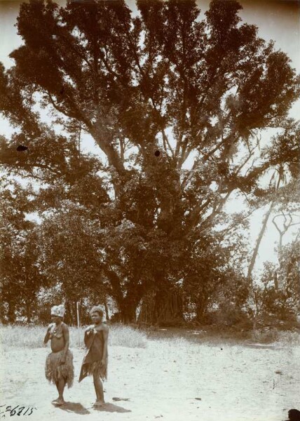 "Place du village. Tanna".