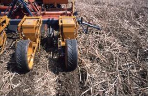 Fotografie: Säverfahren, Einzelkornsaat, Mais, Mulchsaat, Zwischenfrucht