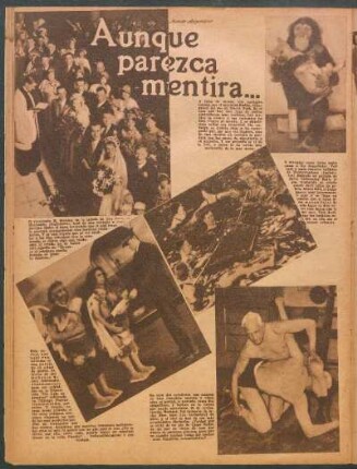 Aunque parezca mentira... [Fotografías]