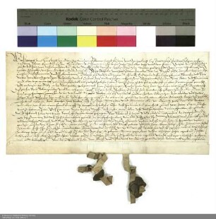 Revers der Brüder Heinrich und Hans Veit von Obernitz bezüglich der Belehnung mit Gütern in Breitensee und in Milz durch Wilhelm [Hartmann von Klauer zu Wohra], Abt von Fulda