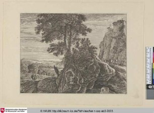 [Landschaft mit Baum und Felsen]