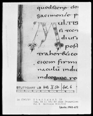 Bibliorum pars finalis, Pauli epistolae, Actus apostolorum, Epistolae canonicae, Apocalypsis — Initiale M(ULTIS), Folio 6recto