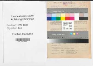 Entnazifizierung Hermann Fischer , geb. 13.02.1891 (Technischer Angestellter)