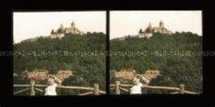 Blick zum Schloss Wernigerode
