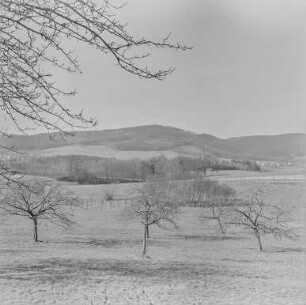 Mönchswalder Berg und Hainitz : Blick zum Mönchswalder Berg