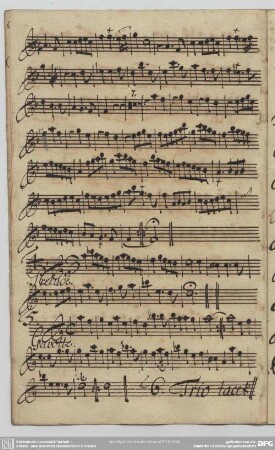 Idylle sur la paix, LWV 68 / Ausw.