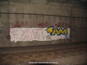 "TAM