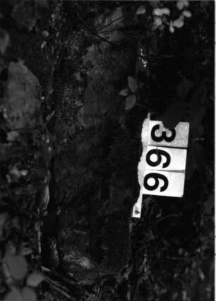 Grabstein 366 (Index: 99897973) Beschreibung: Fragment: Grabstein 366