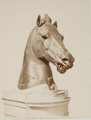 Pferdekopf, antike Bronze, Museo Archeologico, Florenz
