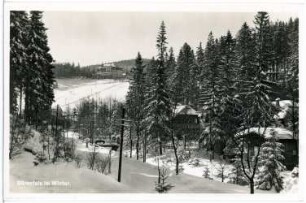 Bärenfels. Winter in Bärenfels
