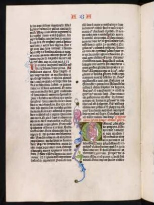 Liber Habacuc prophetae