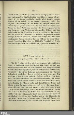 Rose und Lilie